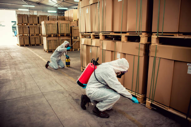 Professional Pest Control in Kahuku, HI