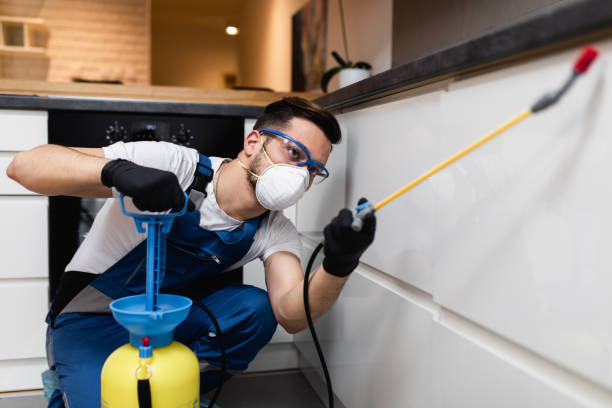 Trusted Kahuku, HI Pest Control Experts
