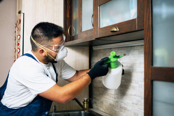 Best Residential Pest Control  in Kahuku, HI