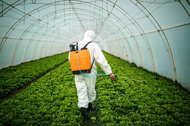 Best Pest Control Near Me in Kahuku, HI