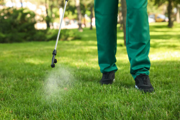 Pest Prevention Services in Kahuku, HI