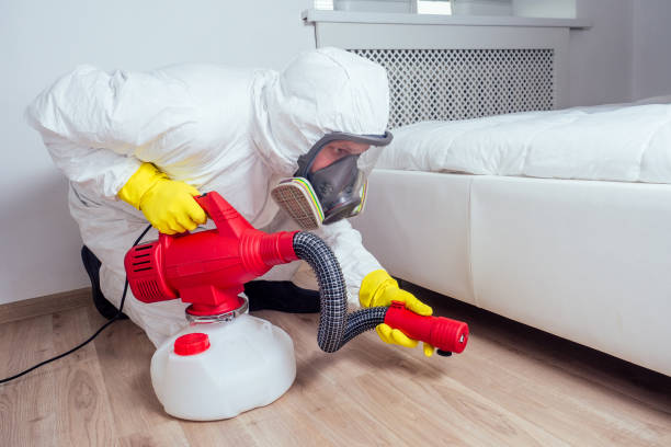 Best Affordable Pest Control Services  in Kahuku, HI