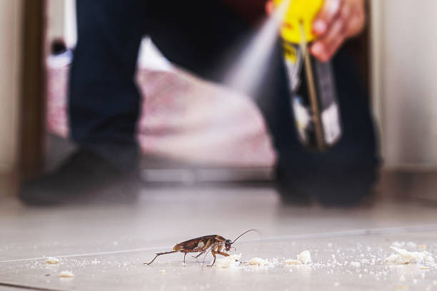 Best Cockroach Control Services  in Kahuku, HI